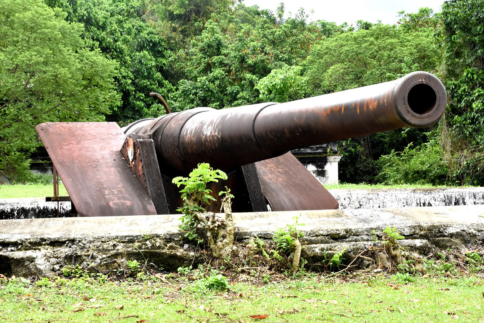 Canhões do Forte do Leme