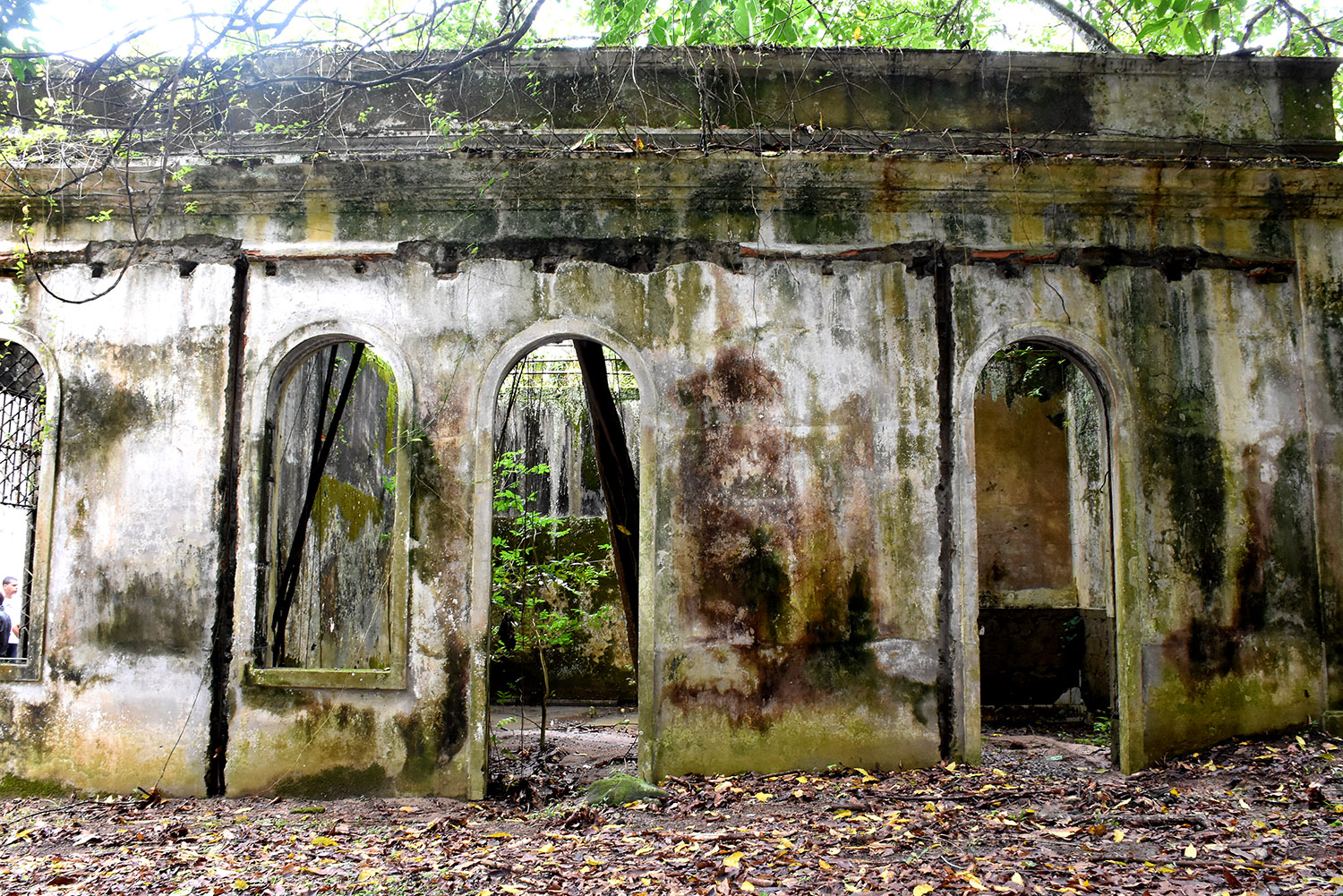 Canhões do Forte do Leme