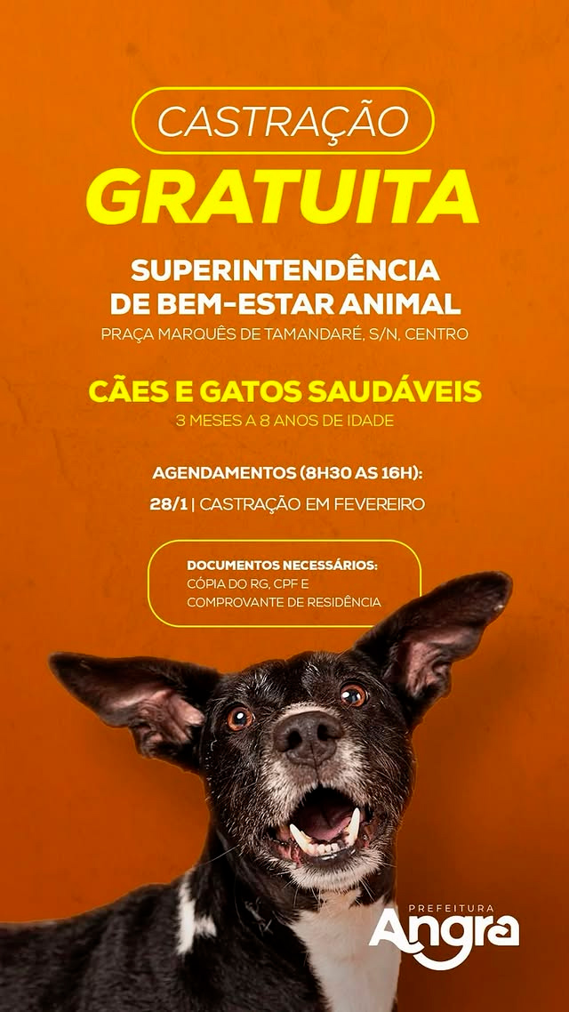 Castração Gratuita de Cães e Gatos