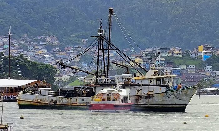 Barco Dona Flor é retirado do Cais dos Pescadores