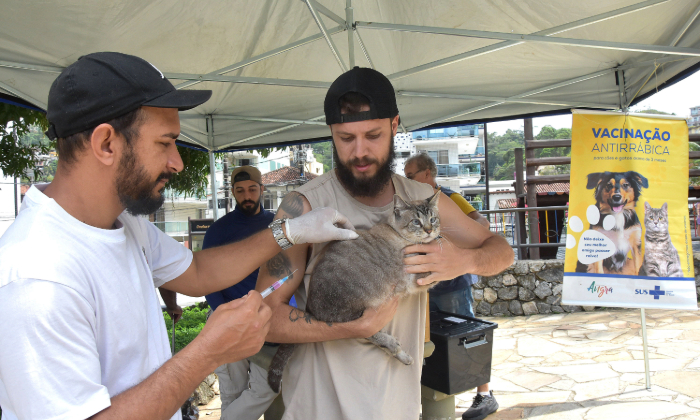 Vacinação antirrábica de cães e gatos chega ao 3º e 4º distrito neste fim de semana