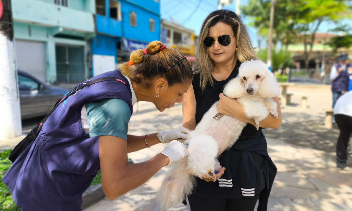 Notícia