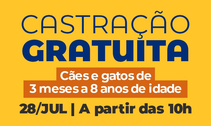 Prefeitura de Angra abre vagas para castração gratuita de cães e gatos em agosto