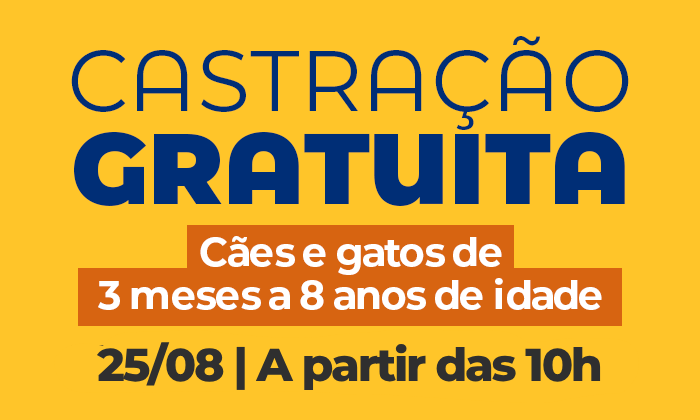 Capa da notícia: Angra abre vagas para castração gratuita de cães e gatos em setembro e outubro