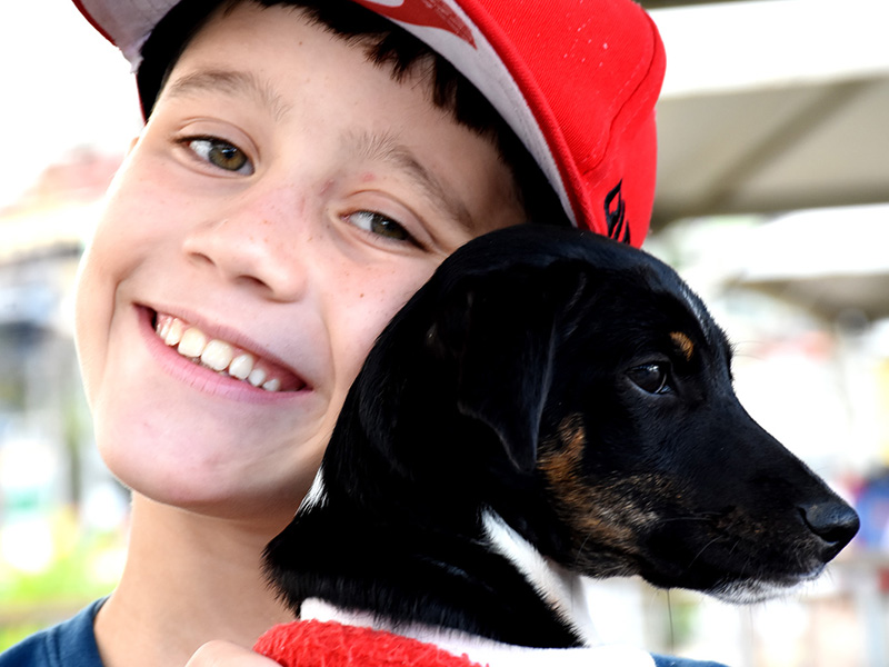 Setor do Meio Ambiente e Bem-estar Animal faz parceria com o