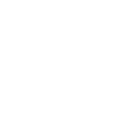 Assistência Social